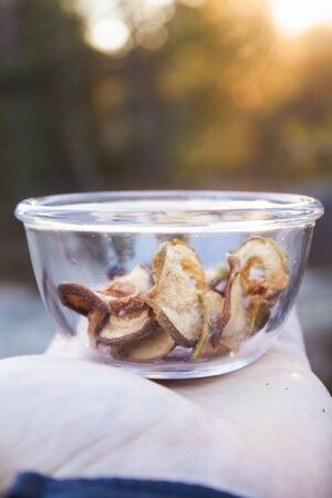 Glass full of dried, crispy pear chips, on a mans hand, in the forrestの写真素材