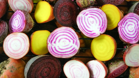 Candy stripe beetroots, between purple and golden beetrootsの写真素材