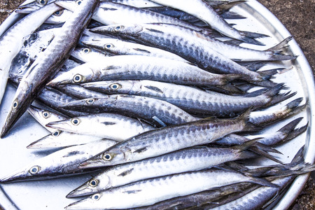 A lot of blue - grey fish, at a market in Phu Quoc, Vietnamの写真素材