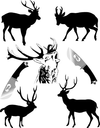 Silhouettes of deer of different species on a white background; のイラスト素材