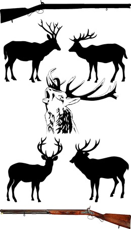 Silhouettes of deer of different species on a white background; のイラスト素材