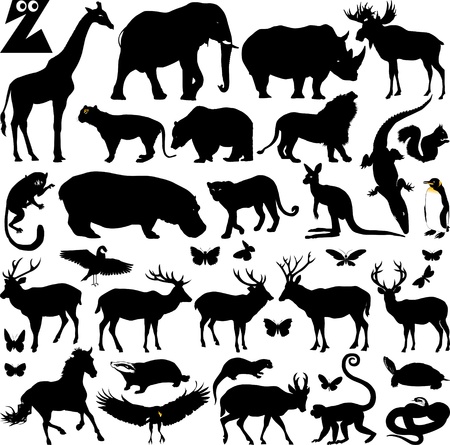 many silhouettes of zoo animals; vector illustration; のイラスト素材