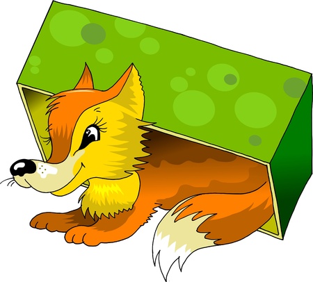 funny red fox crawled under the green box  illustration ; のイラスト素材