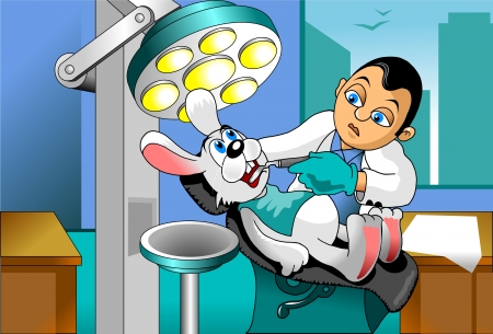 small gray rabbit at a reception at the dentist  vector illustration ;のイラスト素材