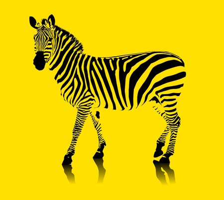 zebra black and white on a yellow background  vector illustration ; のイラスト素材