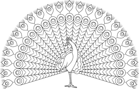 Decorative black and white contour illustration and vector のイラスト素材