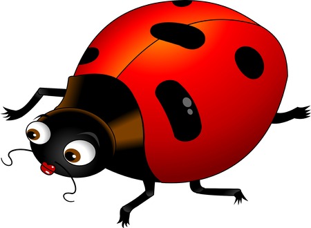 ladybug in a red dress with black dots, vector; のイラスト素材