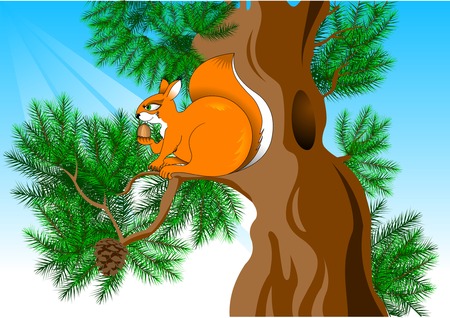 funny red squirrel found a large walnutのイラスト素材