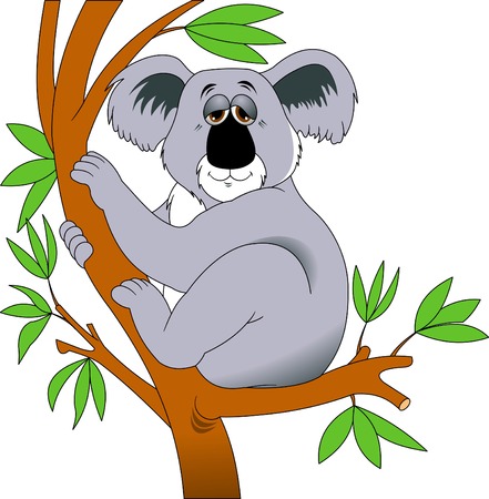 gray koala sleeps sitting on a tree branchのイラスト素材