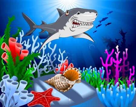 shark and starfish on the ocean floor, including coralのイラスト素材