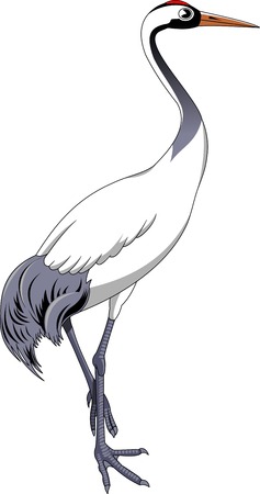 Cartoon crane bird. Vector illustration with simple gradientsのイラスト素材