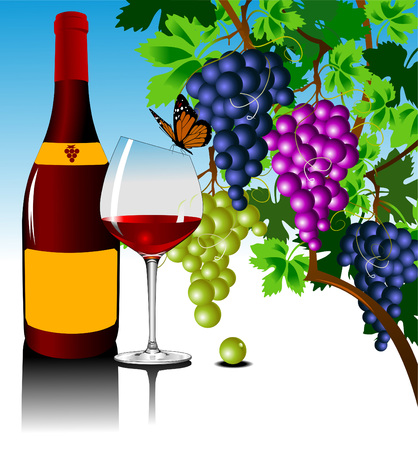 Three grape bushes of different varieties of grapes, vectorのイラスト素材