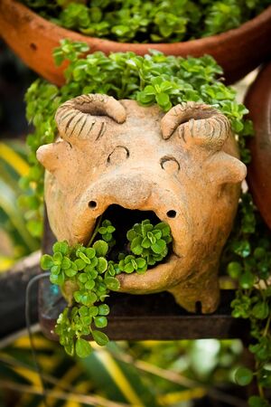 a little terra cotta can make freshyの写真素材