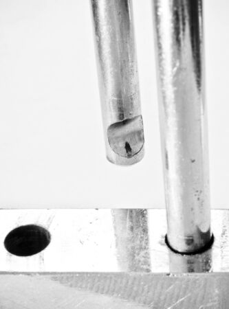 Release it. Bring to the freedom.の写真素材