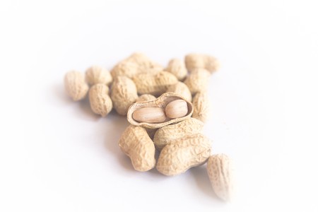 Peanut on white blackgroundの写真素材