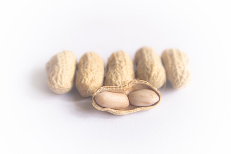 Peanut on white blackgroundの写真素材
