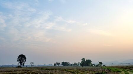 Natural scenery each morning. Rice fields that are beginning dry in the winter. After the farmer has...