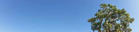 Beauty view with panorama shot photograph. Clear and deep color of blue sky on day time and small...