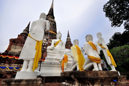 Buddha images in Ayuthaya Thailandの写真素材