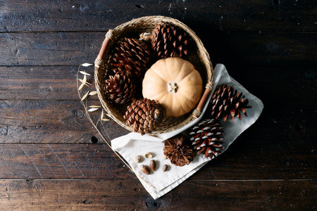 Set of pine cones and holm oak leaves in an esparto basket next to a yellow pumpkin on a wooden table seen from a zenithal view.の写真素材
