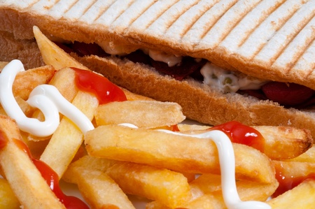 Toasted Sandwich with Potatoesの写真素材