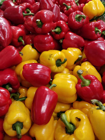 Fresh picked red and yellow capsicums.の写真素材