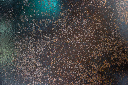 Rust metal texture background,empty template.