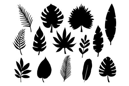 collection of tropical leaves in hand drawn vector illustrationのイラスト素材