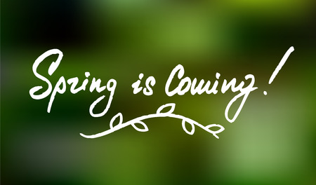 Spring is coming hand lettering quote. Hand drawn typography posterのイラスト素材