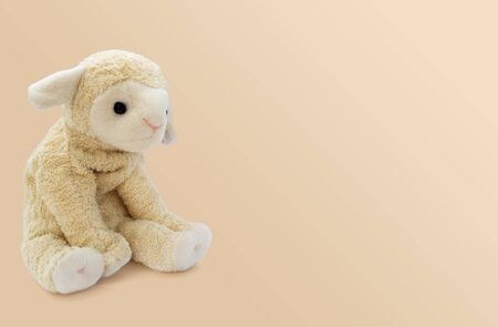 The soft toy little sheep sits on a bright backgroundの写真素材