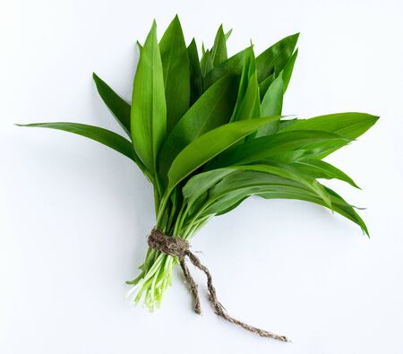 Ramson, bunch of wild garlic isolated on white backgroundの写真素材