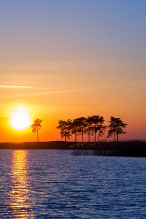 Vivid sunset on a lake, blue and orange skyscape with a pines silhouettesの写真素材