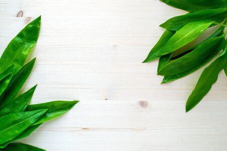 Ramson, wild garlic on bright wooden backgroundの写真素材