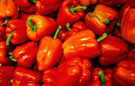 fresh red sweet peppers closeup pattern background. Group of organic red bell pepper in a market placeの写真素材