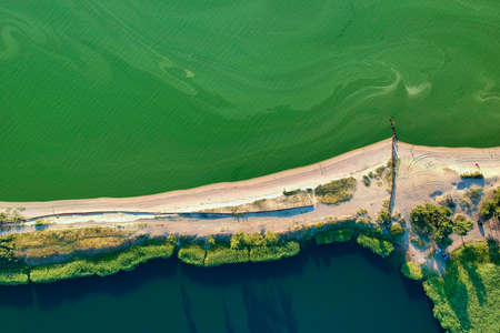 Algae bloom season, green water in summer, aerial view
