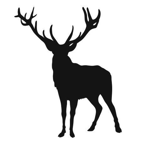 black silhouette of a deer on a white backgroundのイラスト素材