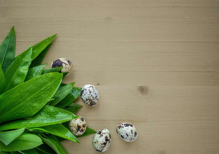 Ramson with eggs on bright wooden backgroundの写真素材