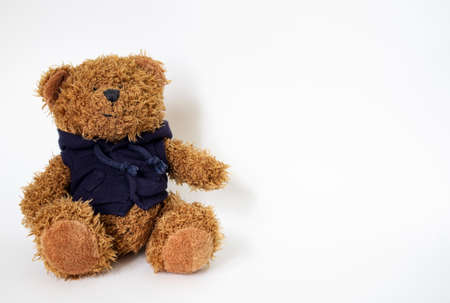 The soft toy bear sits on a white backgroundの写真素材