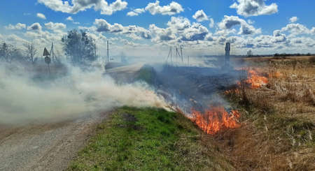 Burning field close to a road, dry grass on fireの写真素材