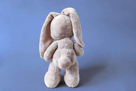soft toy hare stands facing away on a bright blue backgroundの写真素材