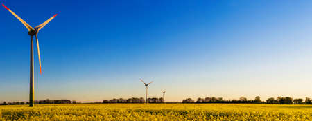 wind turbines in a blooming rapeseed fieldの写真素材