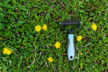 grooming tool, comb, pet fluff cutterの写真素材