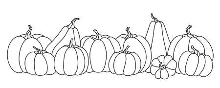 Hand drawn row of a pumpkinsのイラスト素材