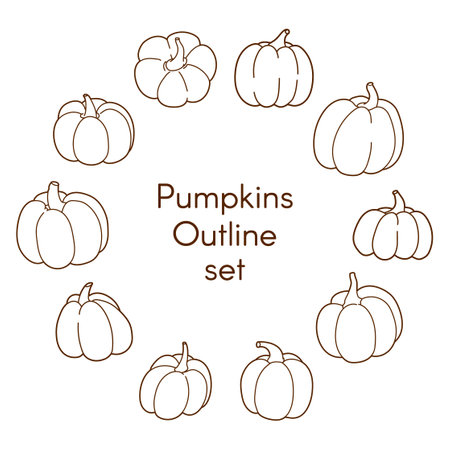 Hand drawn set of a pumpkinsのイラスト素材