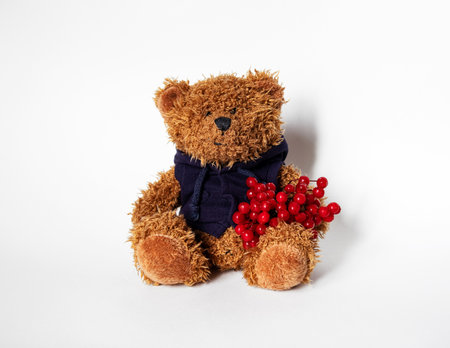 The soft toy bear sits on a white backgroundの写真素材