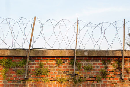 Coiled barbed wire on top of the wall. passage is strictly prohibitedの写真素材