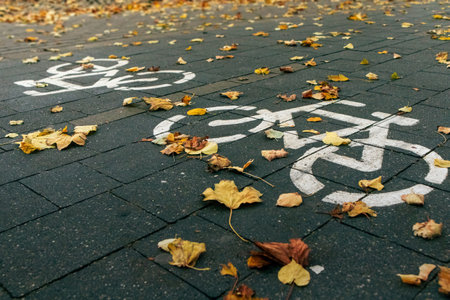 Bicycle path covered with fallen leaves. Bicycle signs painted in white on the tiles of the path in the autumn parkの写真素材