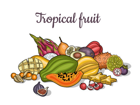 Fruits. Tropical fruit. Carambola, litchi, granadilla, winter cherry, figs, java apple, mangosteen, dragon fruit, avocado, papaya, mango, kiwano fruits. Illustration. Isolated on white background.のイラスト素材
