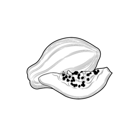 Papaya. Half papaya. Fruit crop. Exotic fruit. Illustration. Isolated on white background.のイラスト素材