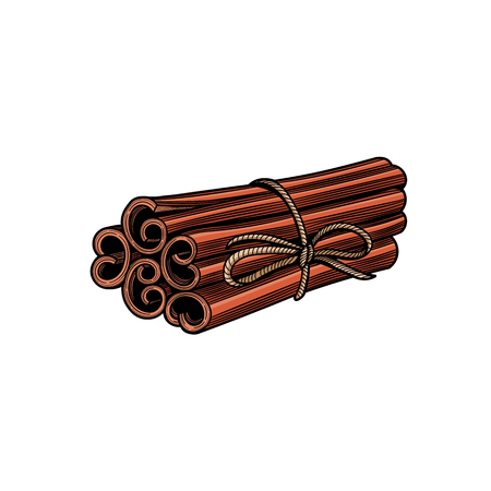 Spices. Cinnamon sticks. Isolated on white background. Vector black vintage engraving illustration.のイラスト素材